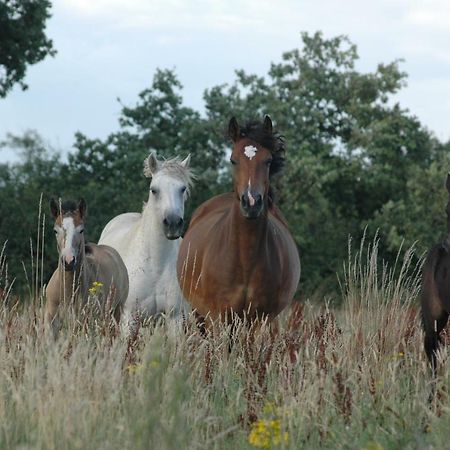 فيلا Petit Gite A La Ferme Rosnay  المظهر الخارجي الصورة