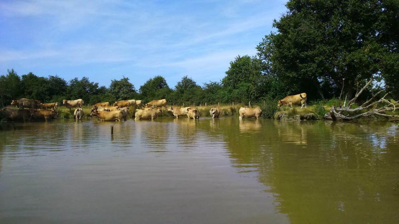 فيلا Petit Gite A La Ferme Rosnay  المظهر الخارجي الصورة
