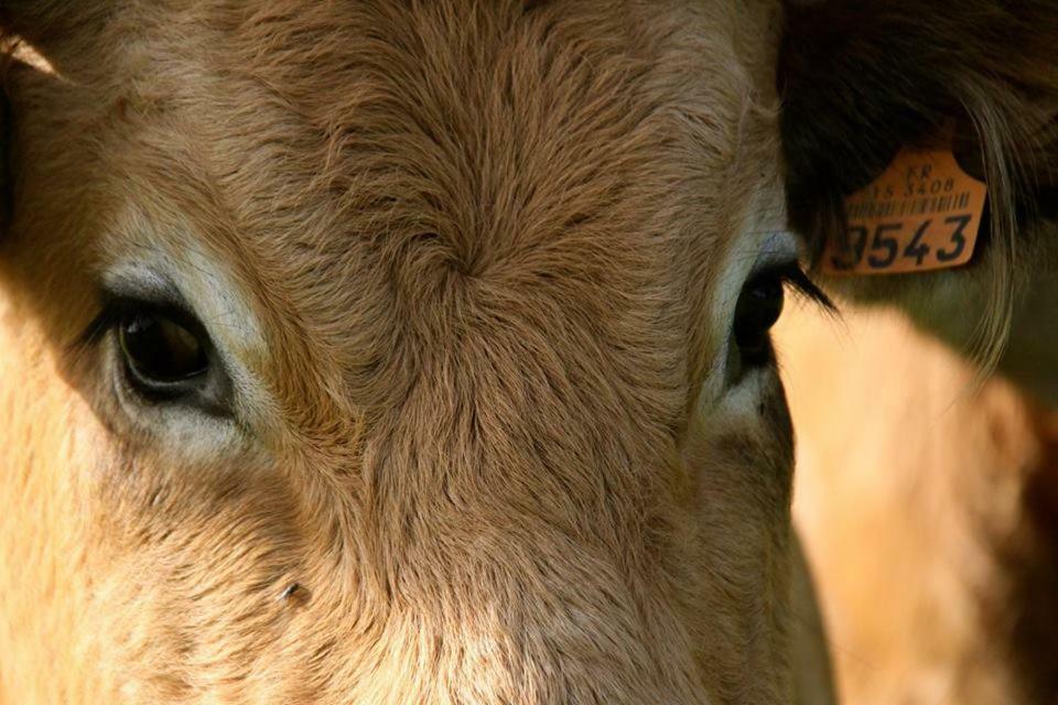 فيلا Petit Gite A La Ferme Rosnay  المظهر الخارجي الصورة