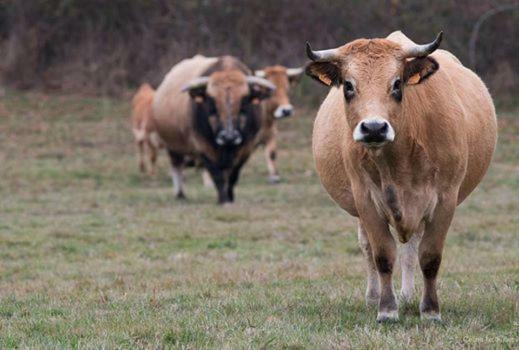 فيلا Petit Gite A La Ferme Rosnay  المظهر الخارجي الصورة